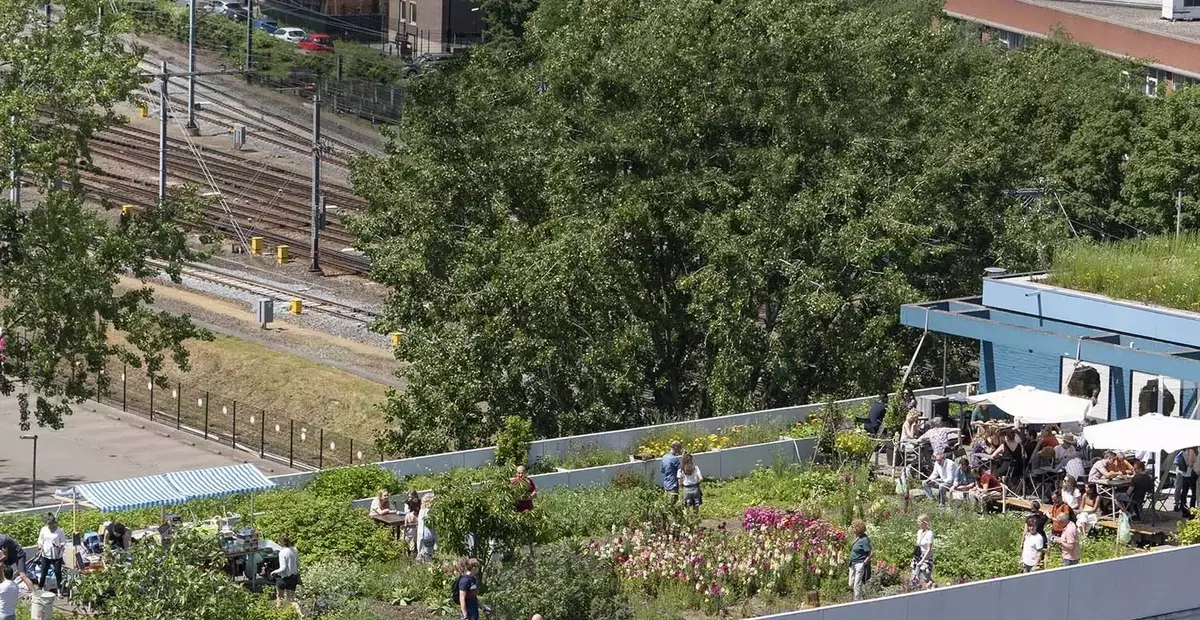 Rotterdam: I Tetti del Futuro, una Visione Urbana Inclusiva e Sostenibile