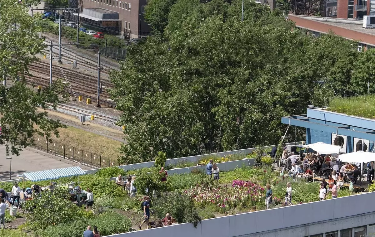Rotterdam: I Tetti del Futuro, una Visione Urbana Inclusiva e Sostenibile