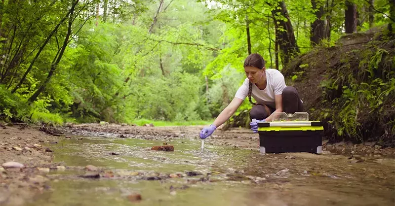 Unlocking the Path to Teaching: A Comprehensive Guide to Educator Certification