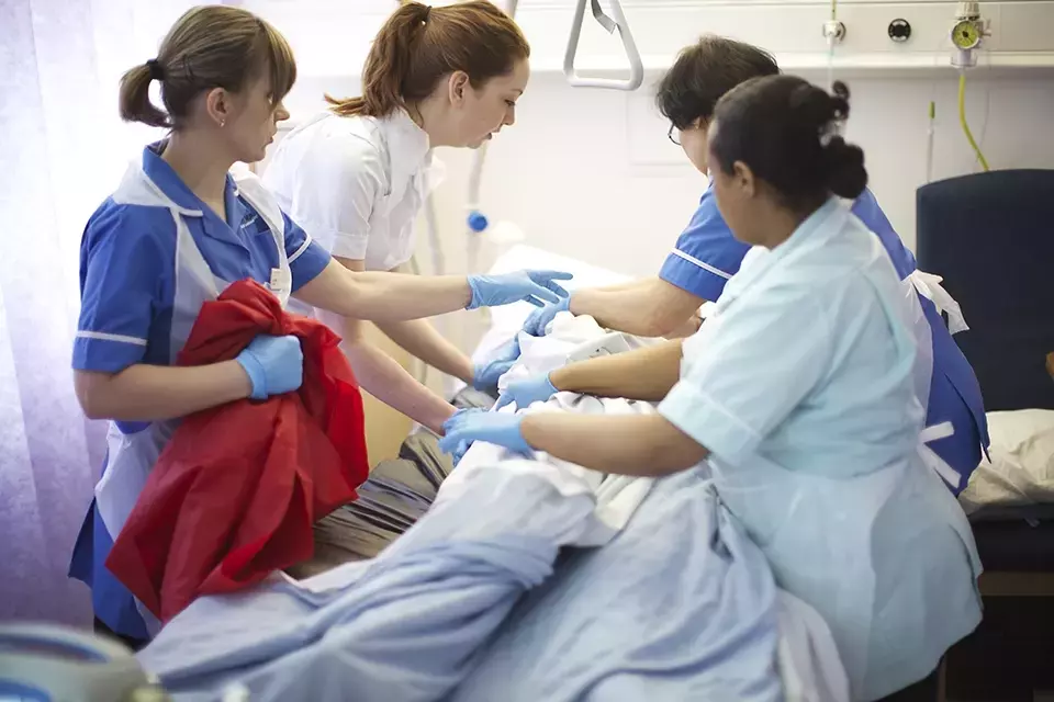 Online Nursing Programs: A General Overview