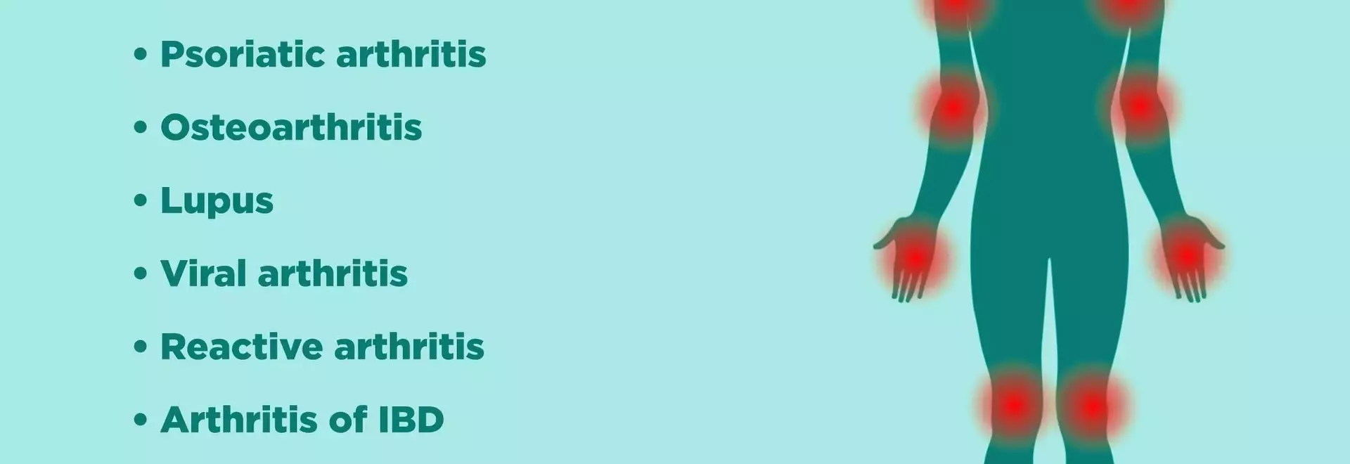 Top-Selling Huel Products for Convenient and Complete Nutrition