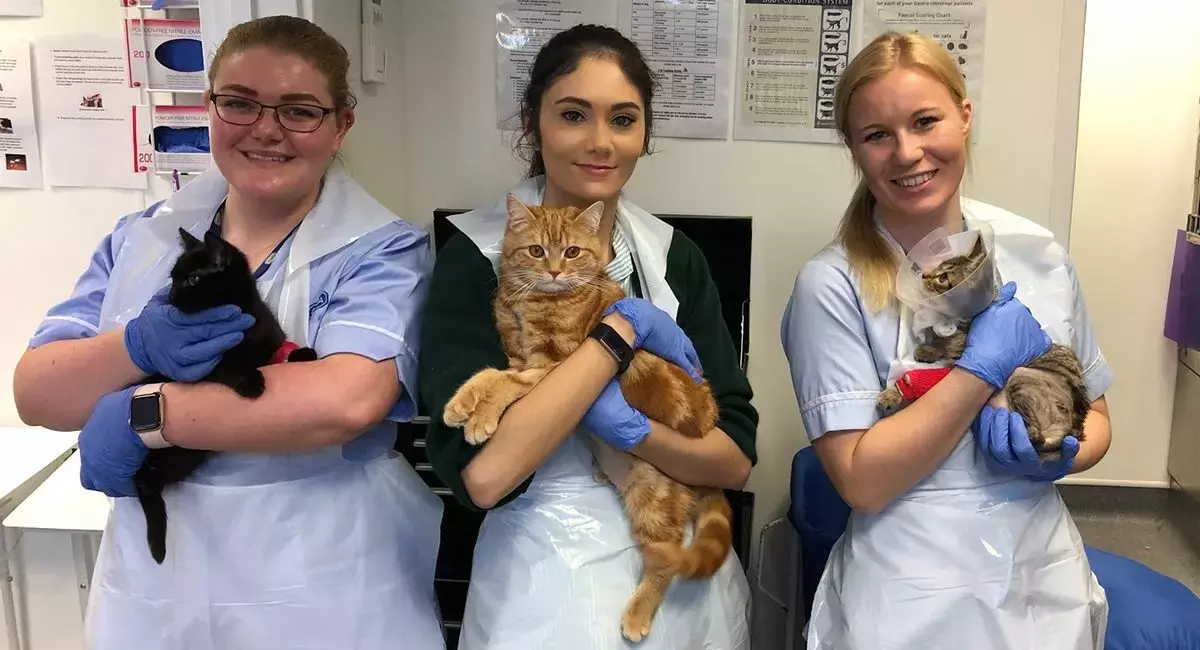 FAA-certified aviation training: earn, learn, and start your career.