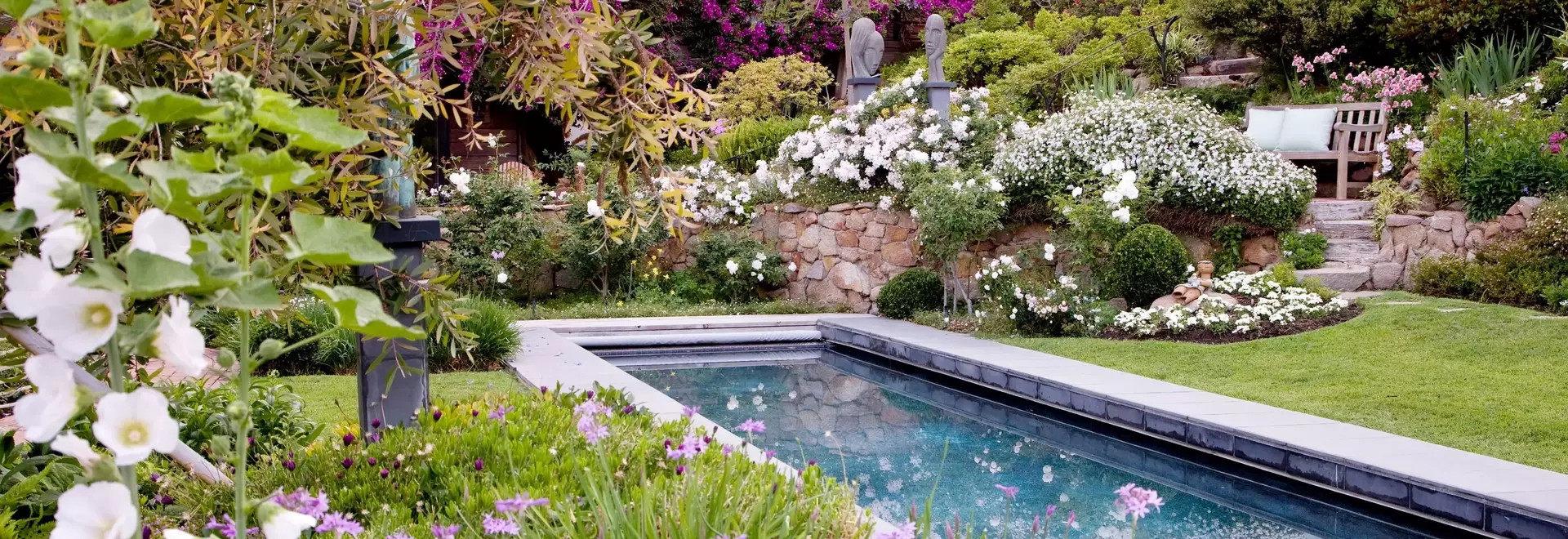 Unlock a Flexible Healthcare Career: Your Step-by-Step Guide to a Dental Hygienist Degree