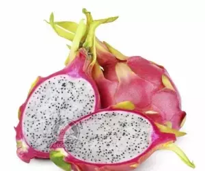 Understanding Depression: The Importance of Seeking Professional Help