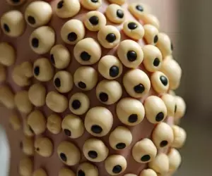 The Benefits of BUILT Protein Foods for Fitness Enthusiasts