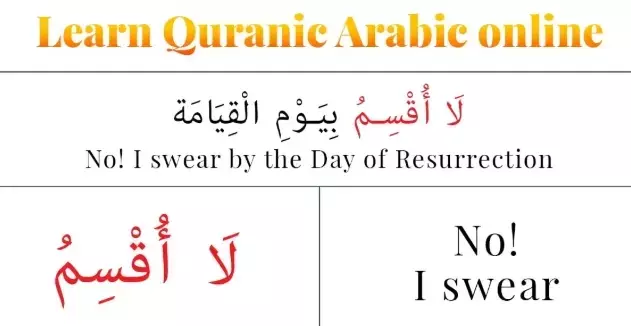Why Nursing Courses Are Gaining Attention Among Learners Worldwide
