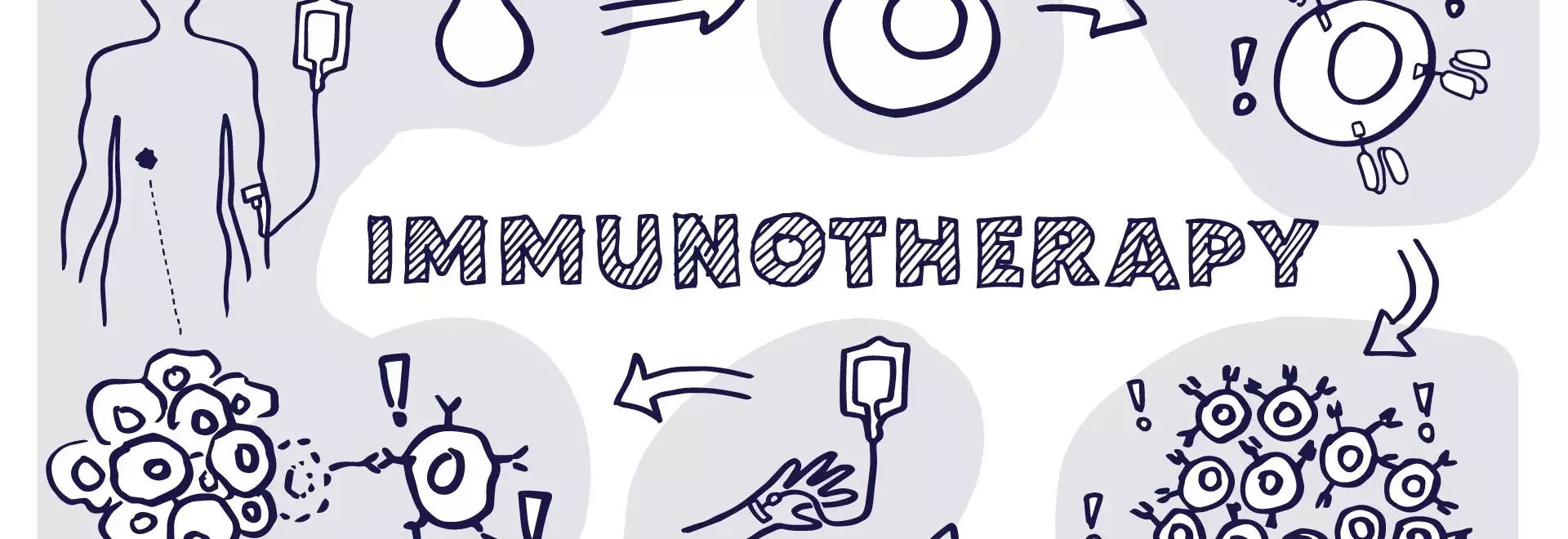 Weight Loss Meal Plans: A Practical Guide to Shedding Pounds