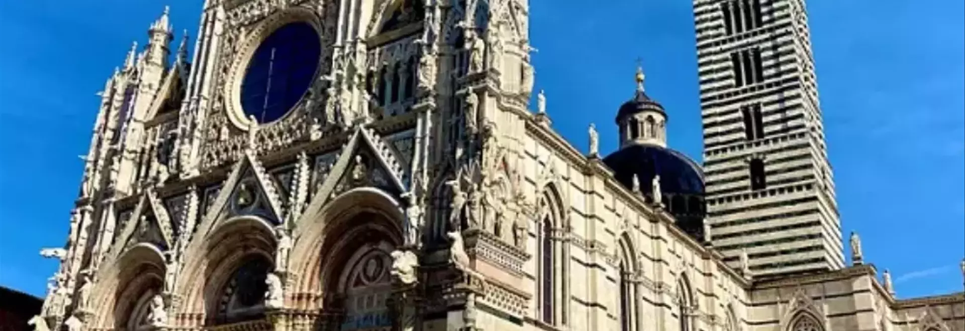 Il Museo di San Francesco: Un Tesoro di Arte e Storia