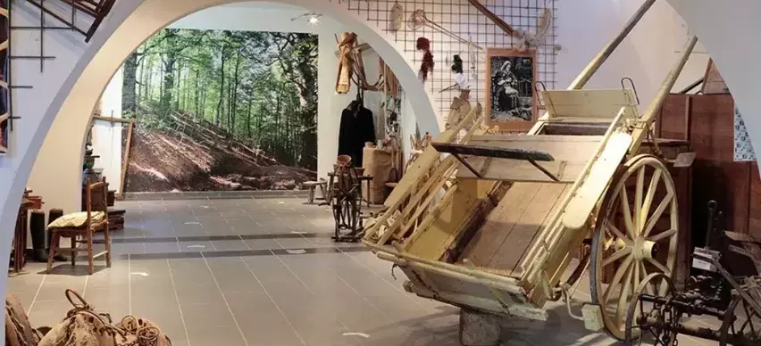 La Biblioteca della Badia di Cava: Un Tesoro Inestimabile di Conoscenza e Storia