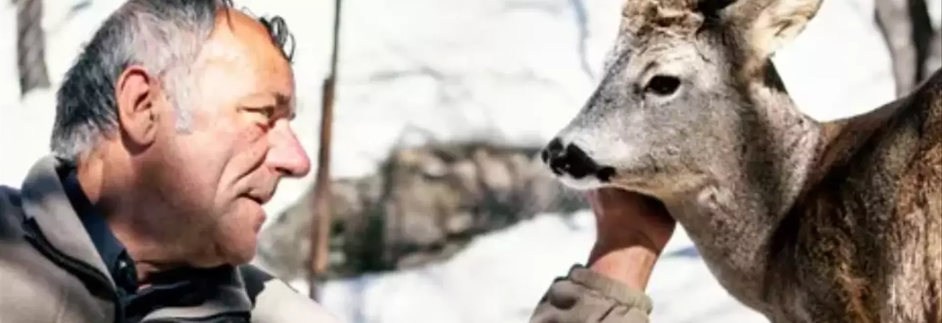 Il Museo della Città di San Pietro in Casale: Un Tesoro Artistico Locale