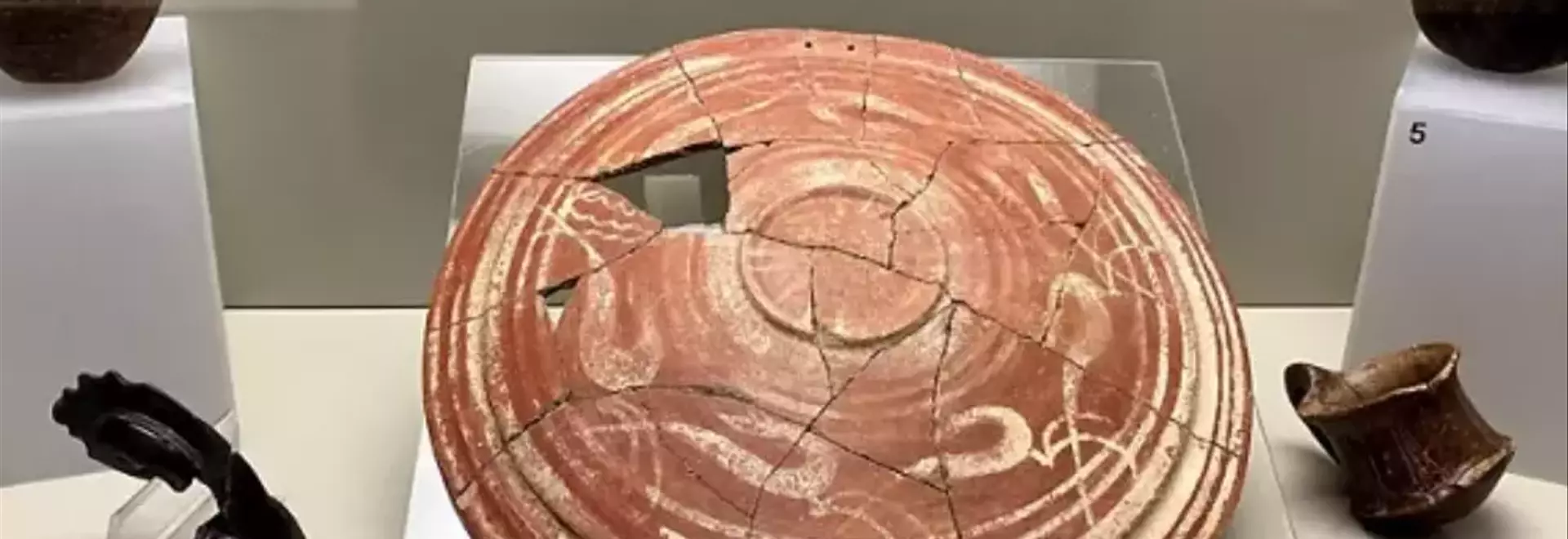 La Galleria di Palazzo Alberti: Un Tesoro Artistico Rivelato