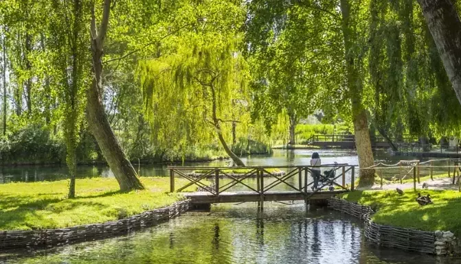 Barbaresco: Un Viaggio Sensoriale Attraverso le Langhe