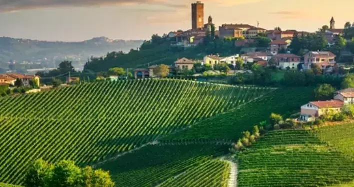 Il Maestoso Parco Reale di Racconigi: Un'Oasi di Bellezza e Armonia