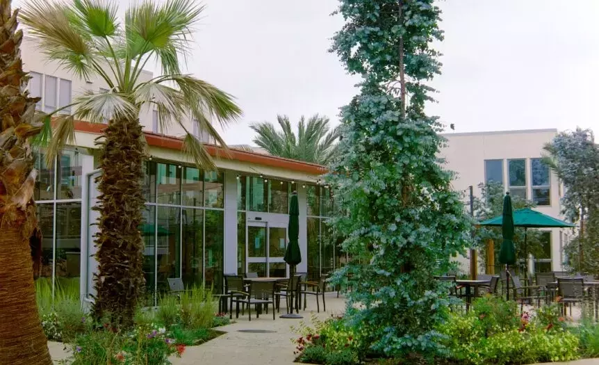 Gehry, i veterani e il nuovo brutalismo: un'architettura di rinascita