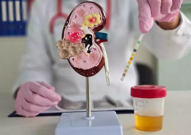 Understanding Initial Signs of a Sluggish Thyroid Gland