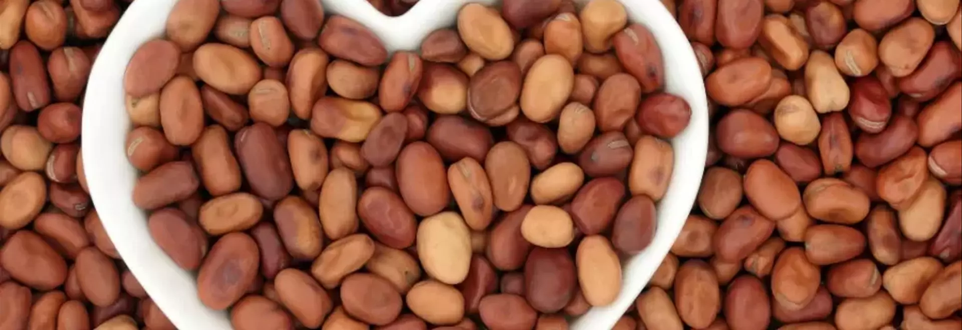 Fave Secche: Un Superalimento Mediterraneo per Ogni Stagione