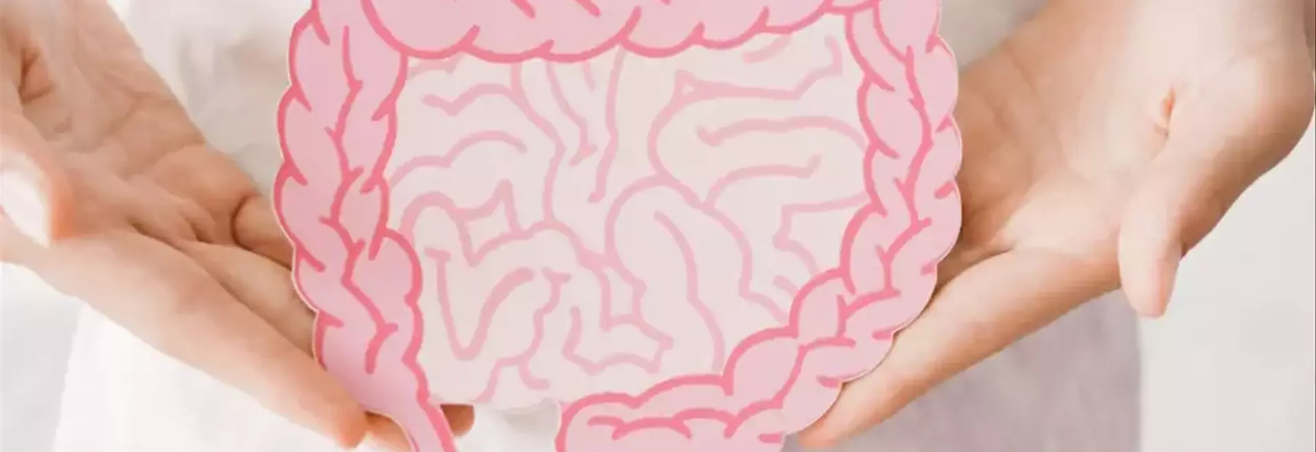 Rafforzare la Salute Intestinale per un Sistema Immunitario Potenziato