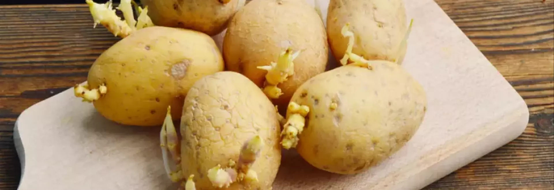 Patate Germogliate: Riconoscere i Rischi e Conservarle Correttamente