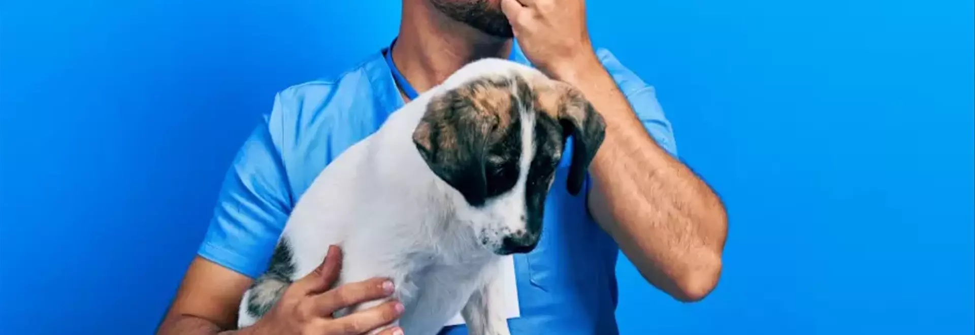 Alitosi Canina: Cause, Prevenzione e Trattamento Efficace