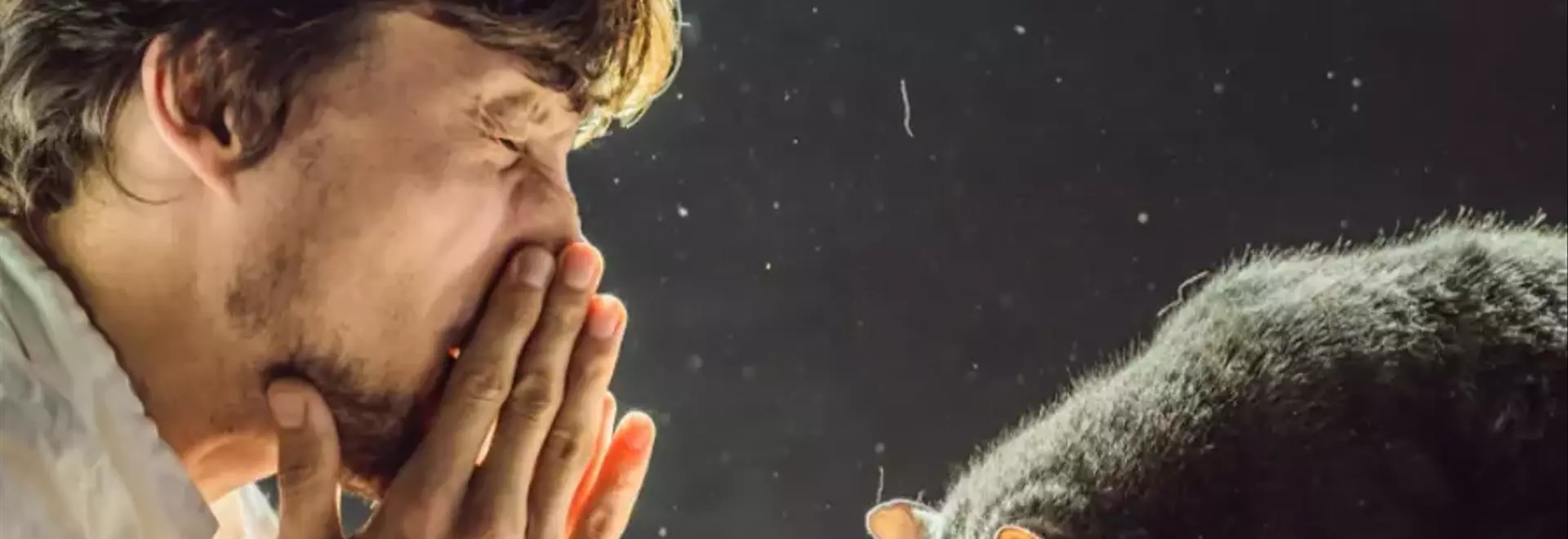 Allergia ai gatti: comprendere i fatti e gestire i sintomi