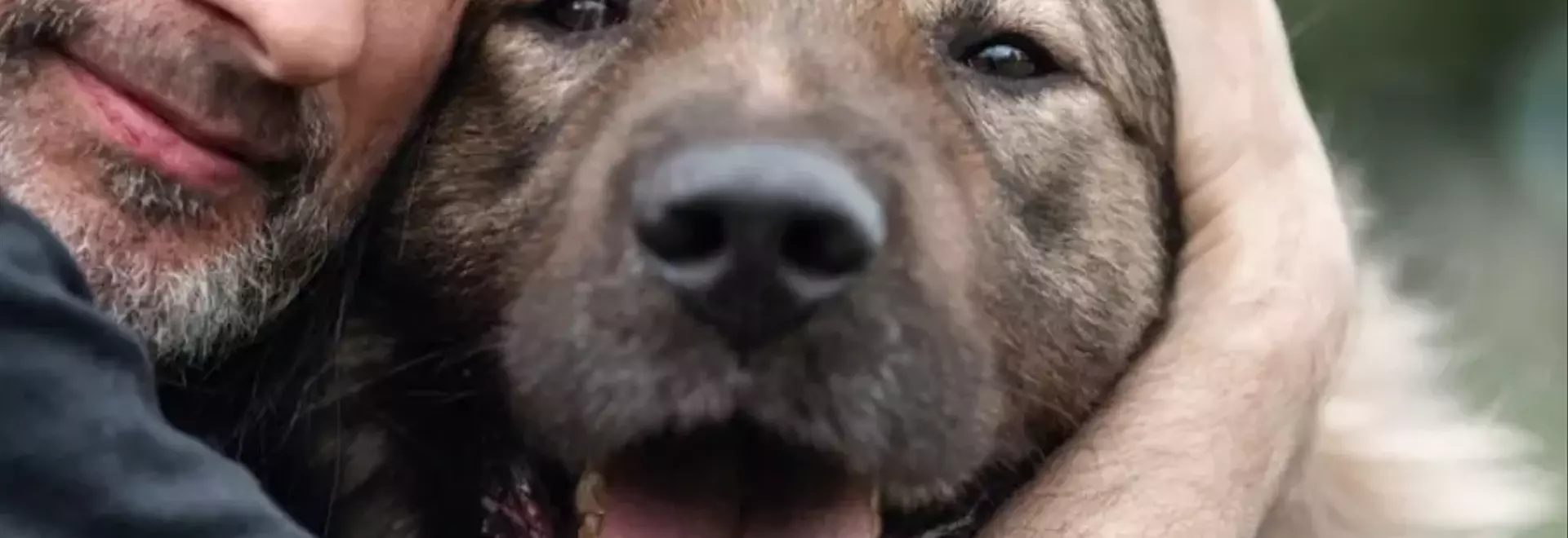 Innovazione Biotecnologica: Un Farmaco per Prolungare l'Esistenza Canina