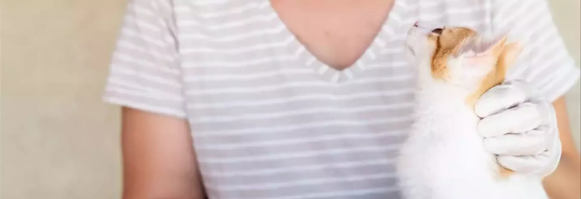 Gestione e Prevenzione dell'Herpesvirus Felino