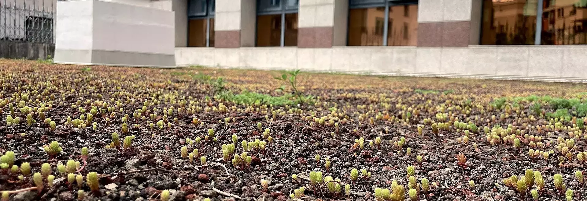 Laterlite: Lecagreen e argilla espansa per la manutenzione del verde a Pordenone