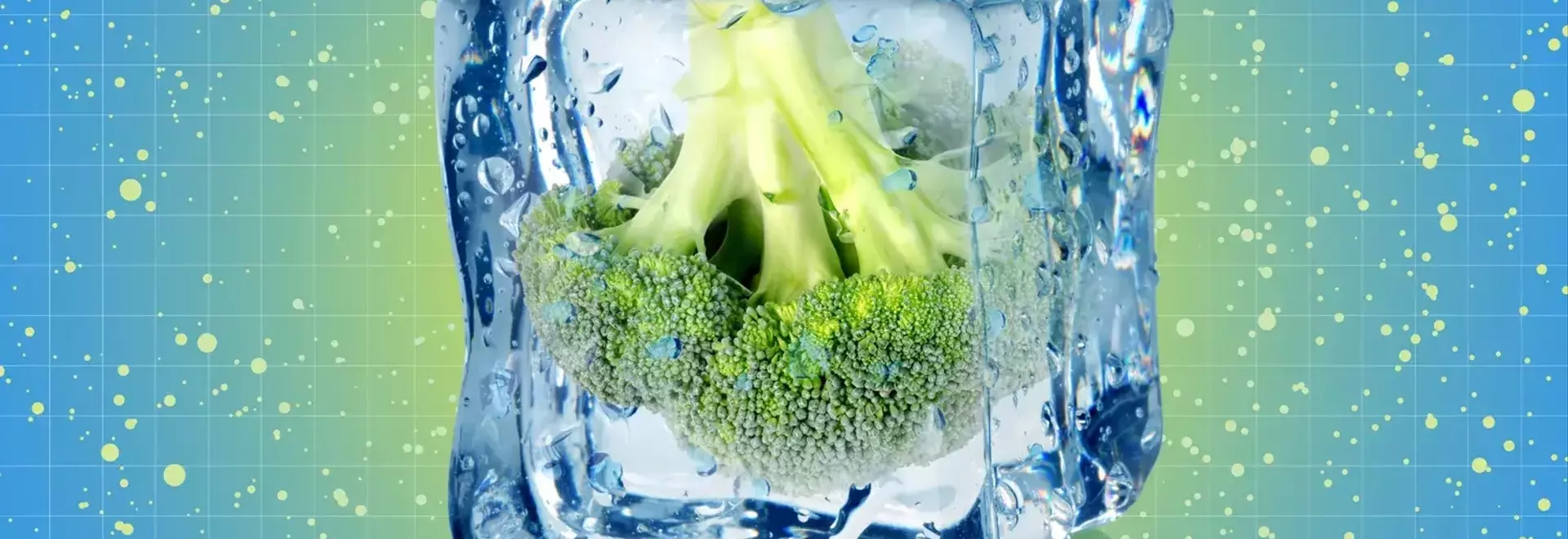 Elevating Frozen Vegetables: From Bland to Flavorful
