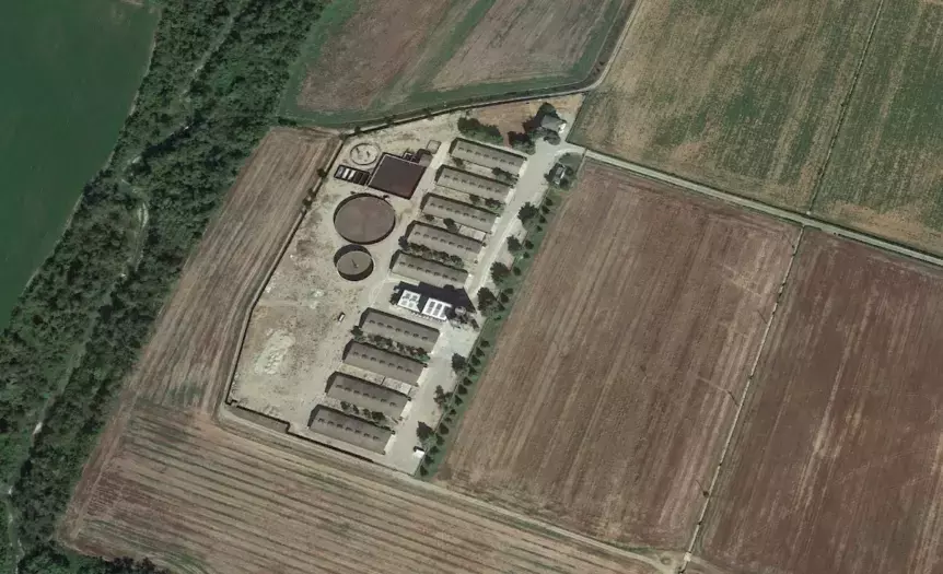 Tra Uomo e Animale: Architetture Nascoste dell'Allevamento Intensivo