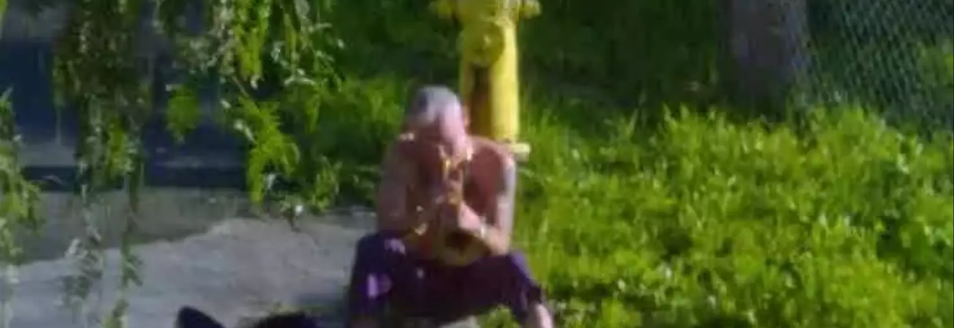 From Funk Bassist to Jazz Trumpeter: Flea's Unconventional Solo Debut