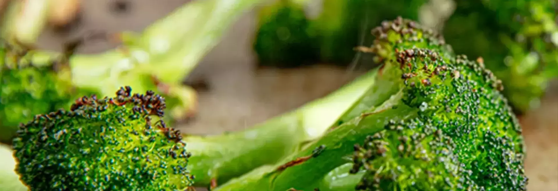 The Secret to Perfectly Tender Roasted Broccoli: Embracing Steam and High Heat