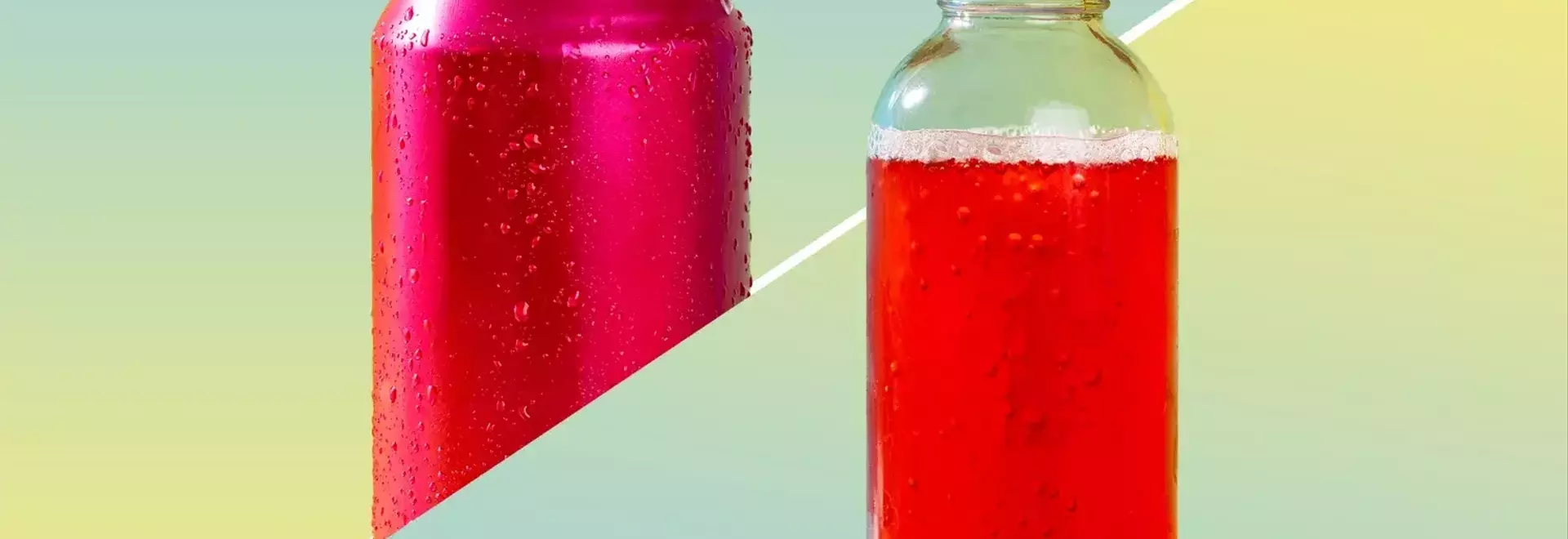 Prebiotic Soda vs. Kombucha: A Gut Health Showdown