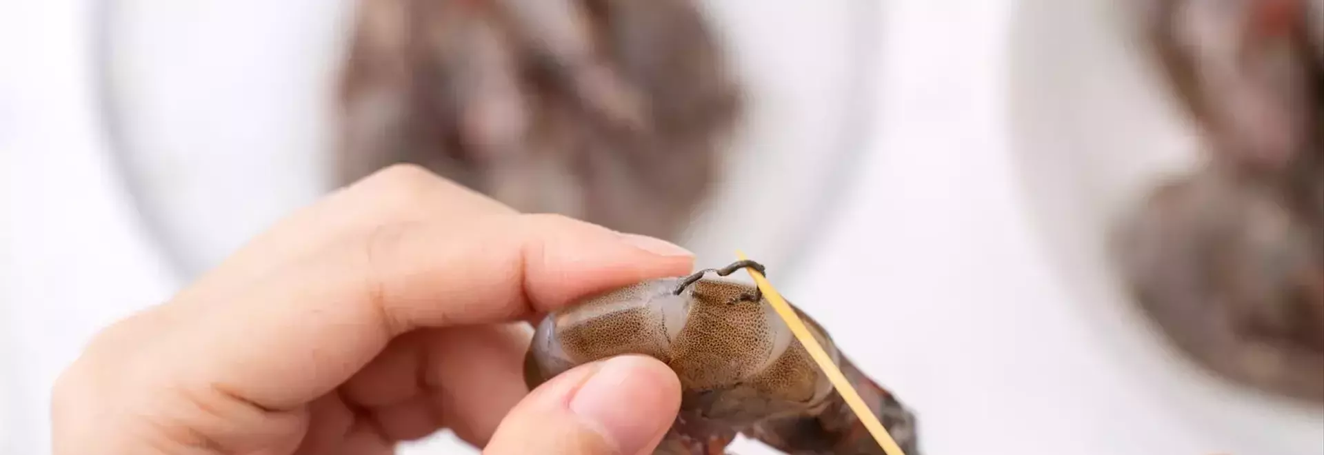 Expert Prawn Preparation: Four Essential Methods for Deveining