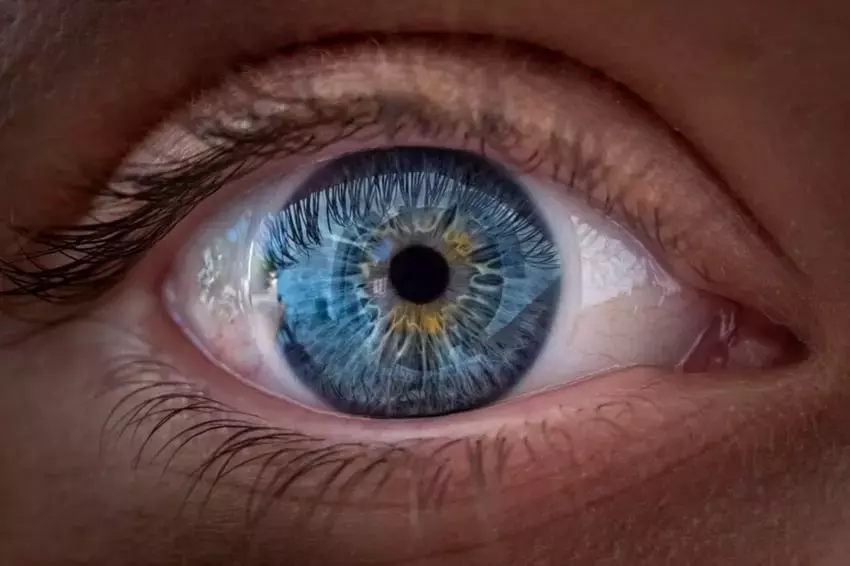 IDEAYA's Eye Cancer Therapy Outperforms Standard Treatment, Boosting Stock