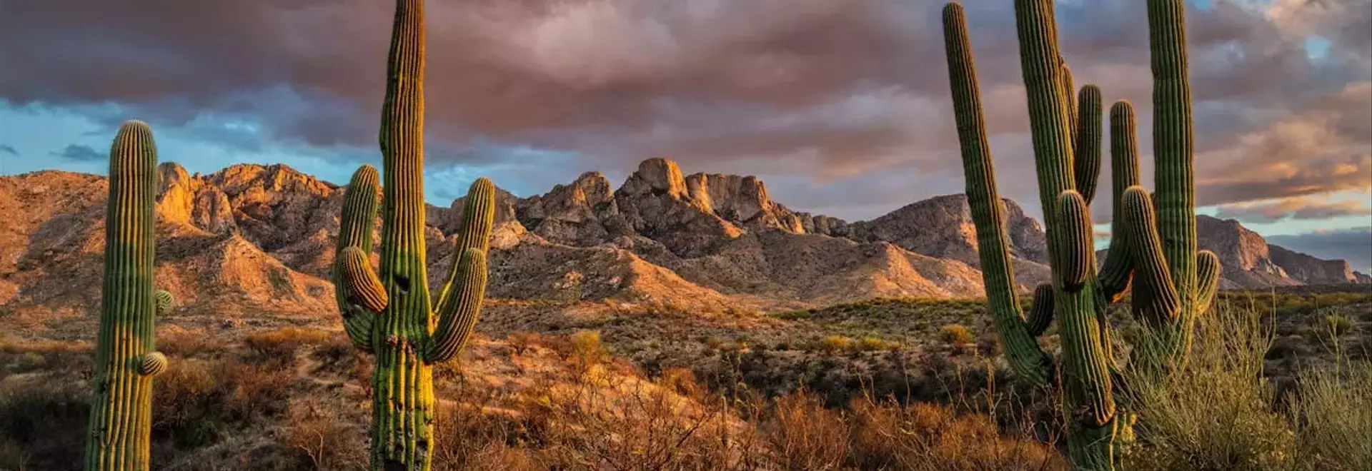 Tucson: The Southwest's Unsung Gem for Travelers