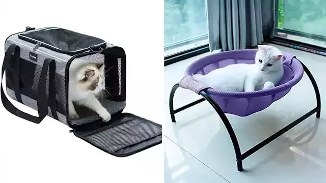 75 Clever Products That Are Game-Changers for Cat Owners