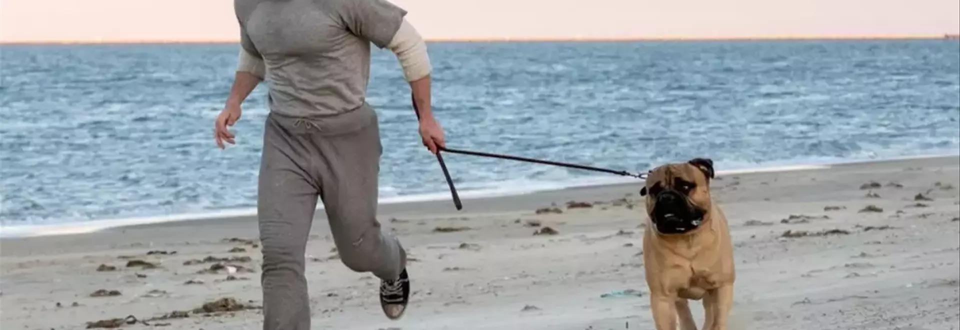 New Film Reveals Sylvester Stallone's Fight to Star in 'Rocky'