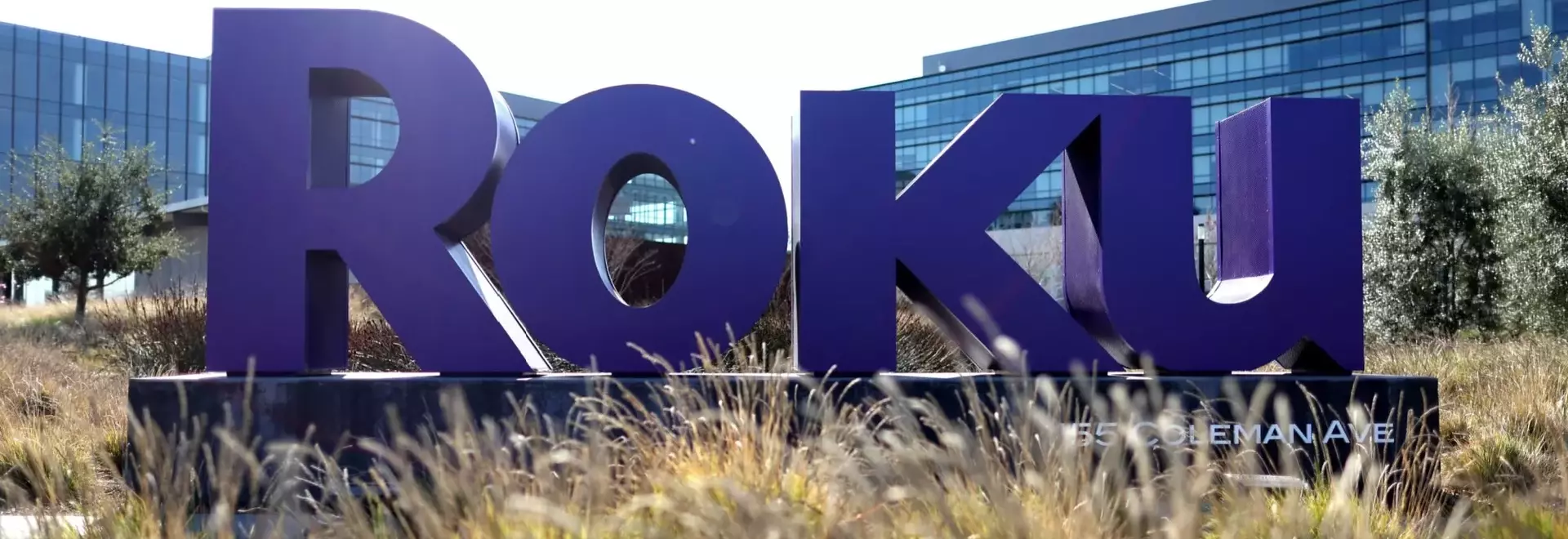 Roku's Global Streaming Expansion Reaches 100 Million Households