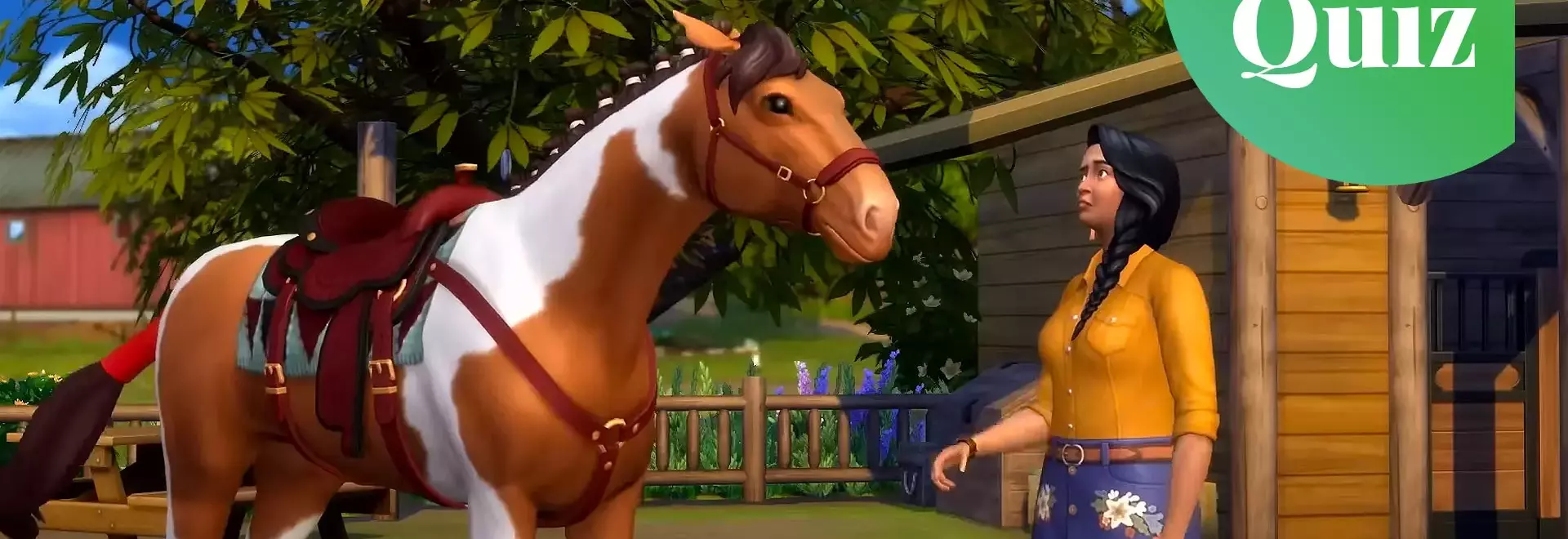 A Quiz on Iconic Video Game Horses