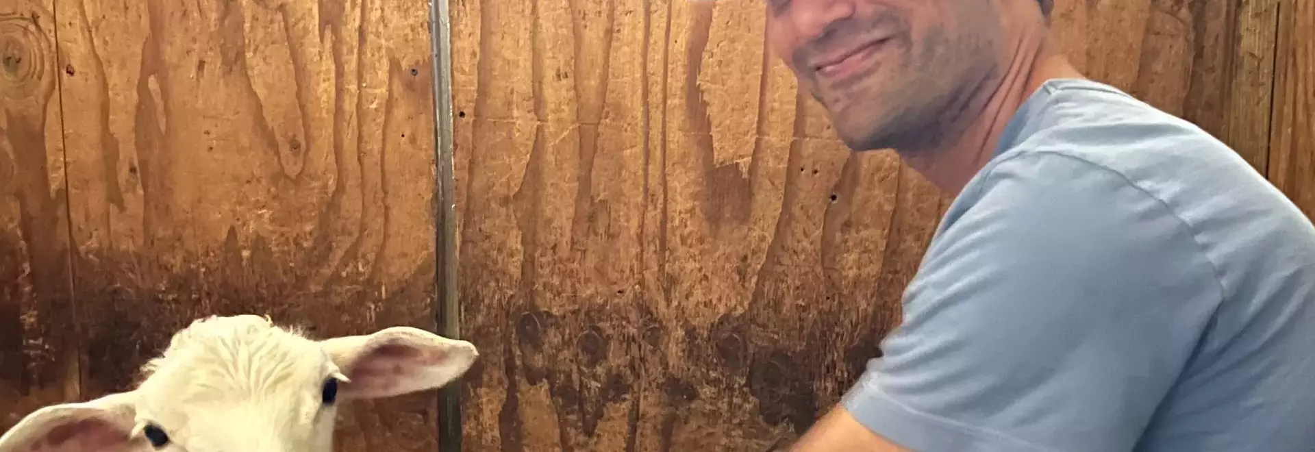 Nik Tyler's Decade of Advocacy: Championing Animal Welfare in Hollywood