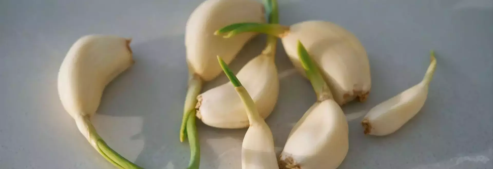 Mastering Garlic Preservation: Essential Storage Techniques for Optimal Flavor and Health Benefits