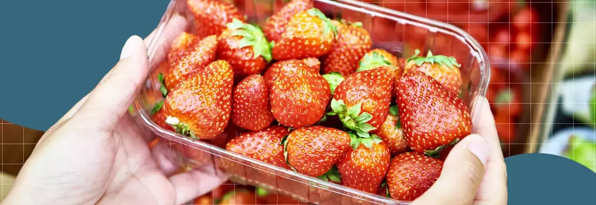 Optimizing Strawberry Freshness: Expert Storage Tips and Essential Tools