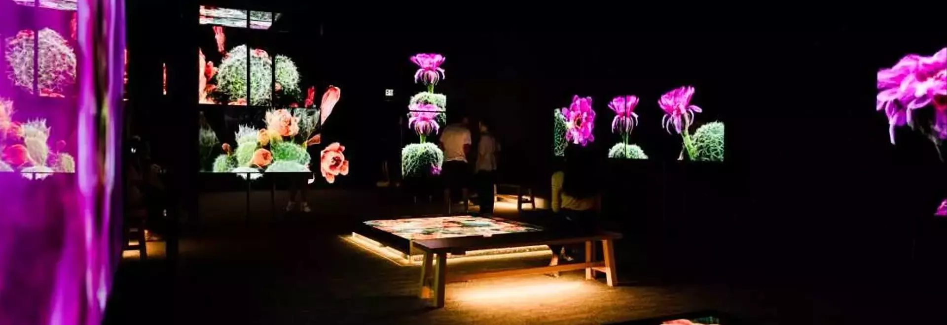 3D Scans Unveil Sonoran Desert's Hidden Life, Informing Conservation Efforts