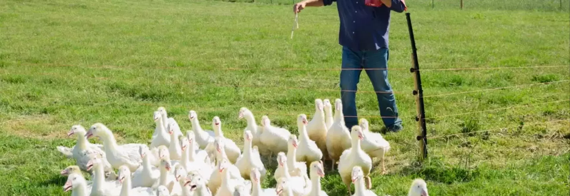 “Clarkson’s Farm” Season 5 Premieres This June