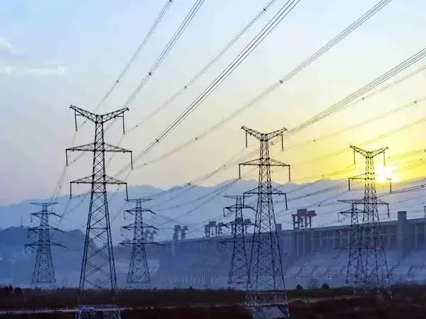 Central Puerto S.A. Expands into Oil & Gas Sector with Vaca Muerta Acquisition