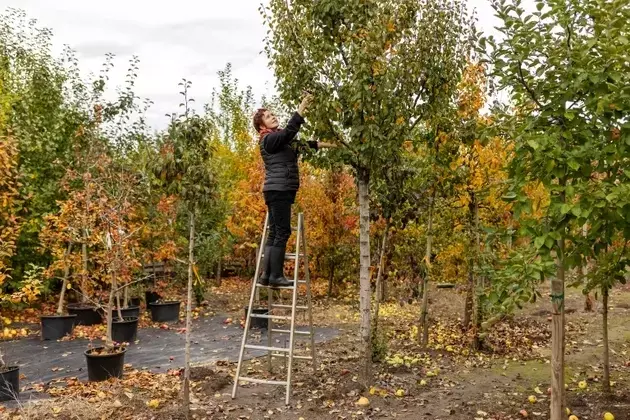 PennyMac Mortgage Trust: Attractive Yields Amidst Low Risk