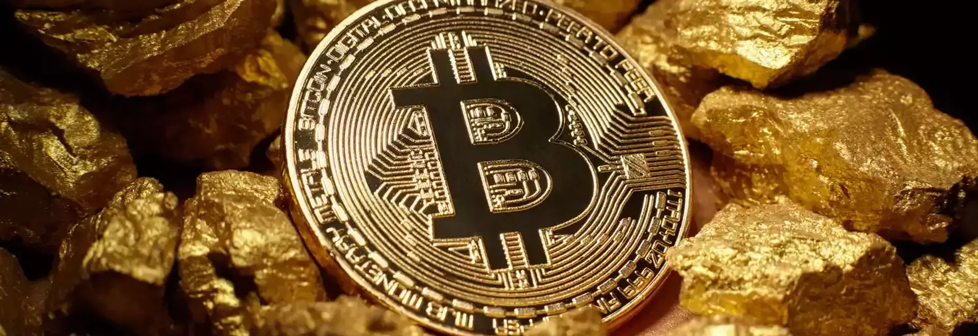 Bitcoin Ownership and Market Trends