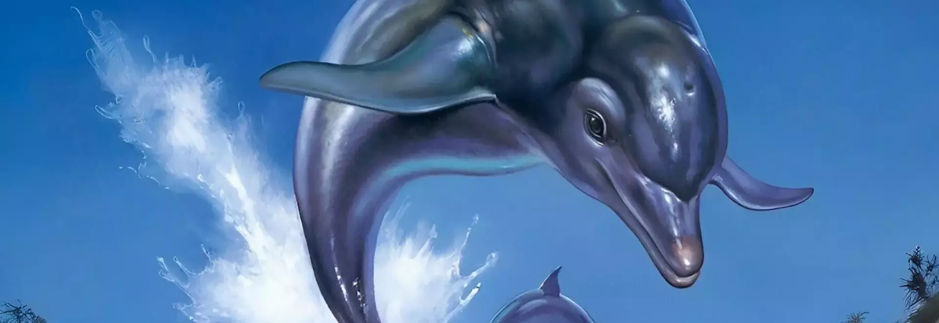 Ecco the Dolphin: Complete Collection Unveiled