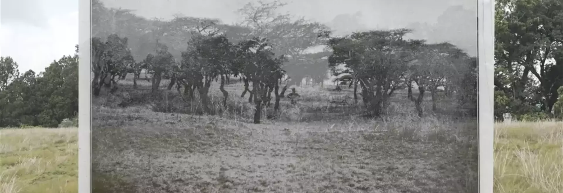 Documentary Film “Uganda” Wins Top Award at Visions du Réel Industry Event