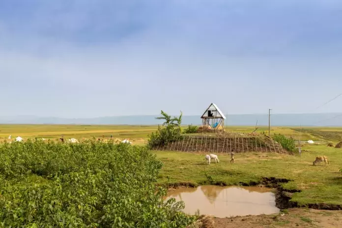 Khudi Bari: Architetture Resilienti di Marina Tabassum in Bangladesh